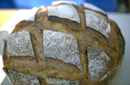 Brot